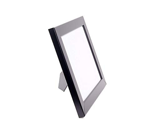 First Dollar / Business License Frame with Mat