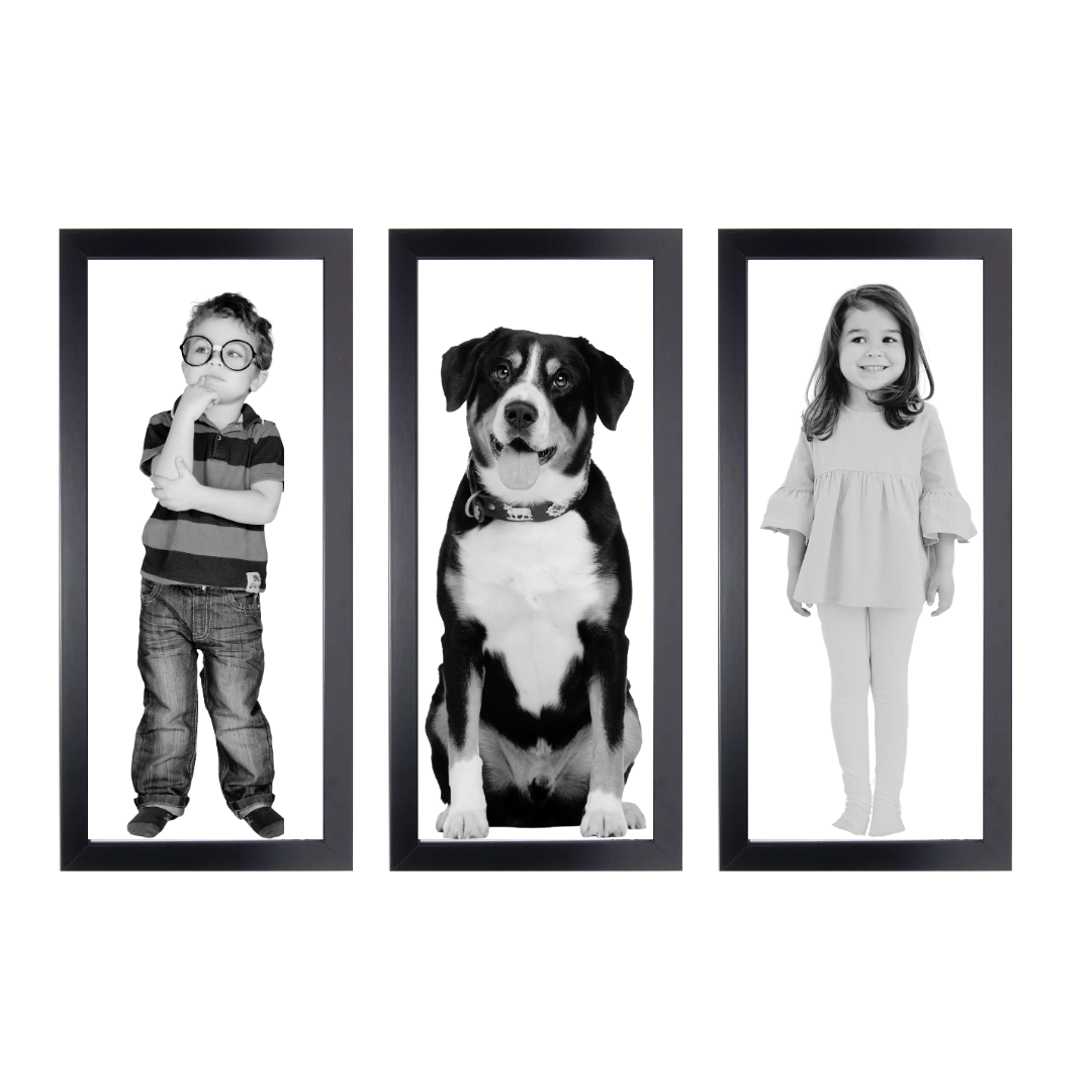 Gallery Wall Portrait Frames| 10x24