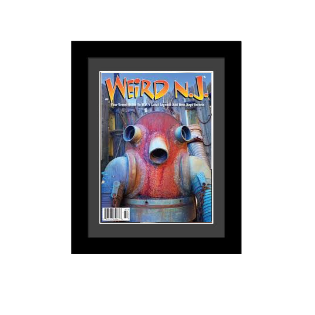 Weird N.J. Magazine Frame