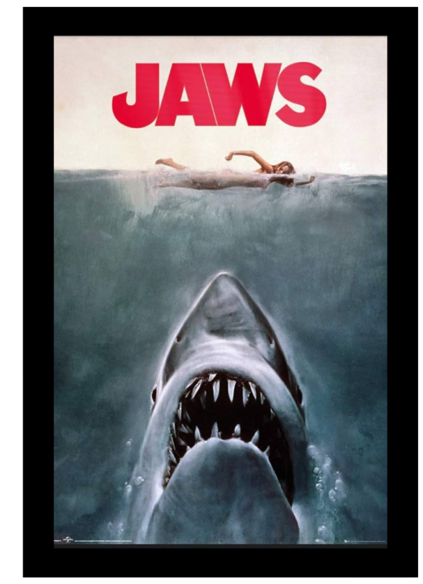 24x36 Movie Black Poster Frame Displays vertical or horizontal with installed hardware