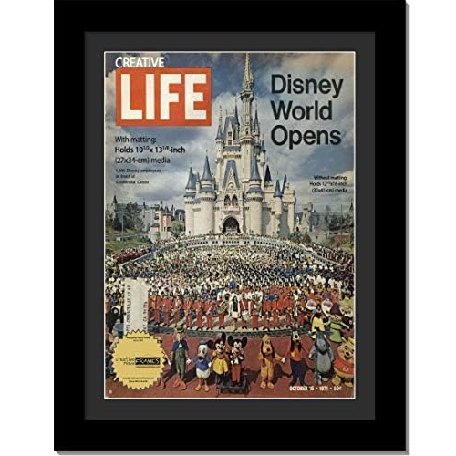 Life Magazine Frame