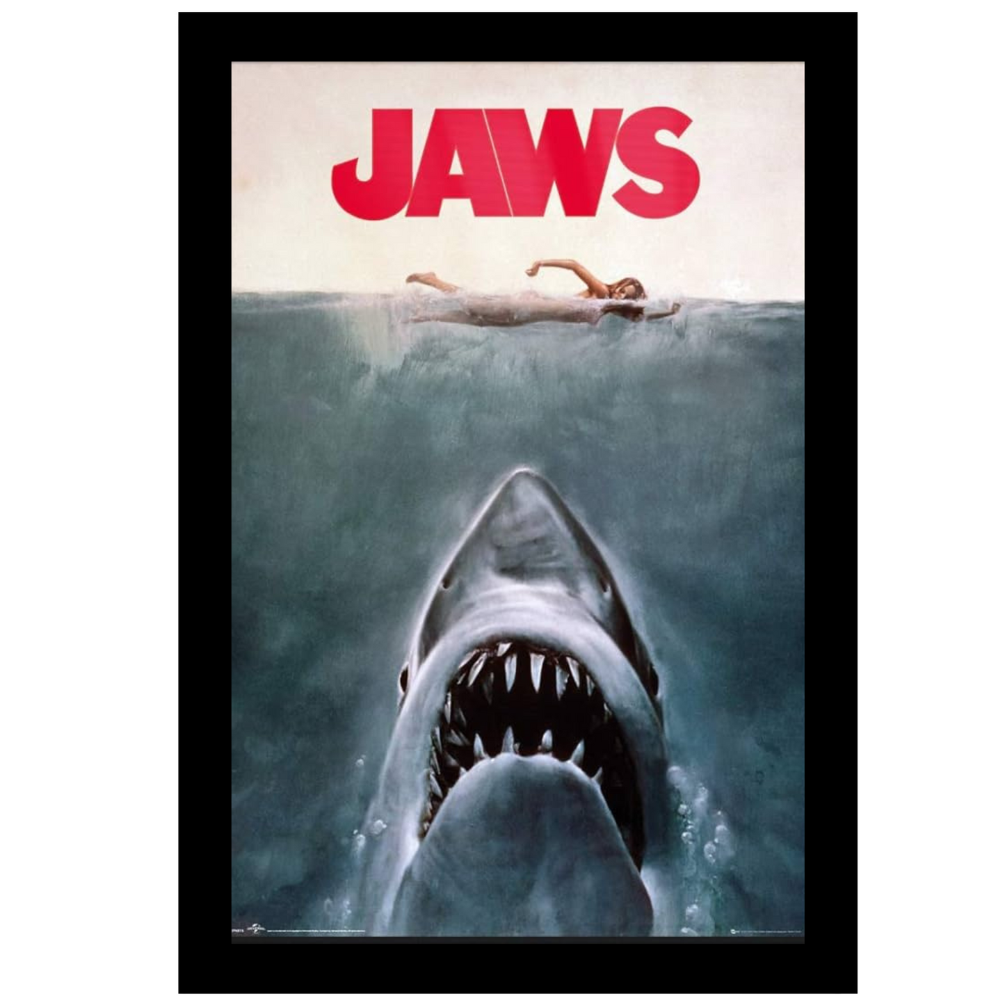 24x36 Movie Black Poster Frame Displays vertical or horizontal with installed hardware