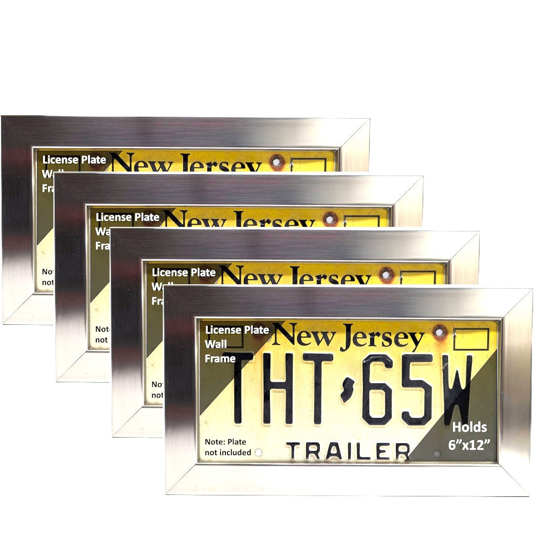 6 by 12-inch License Plate Wall Frame