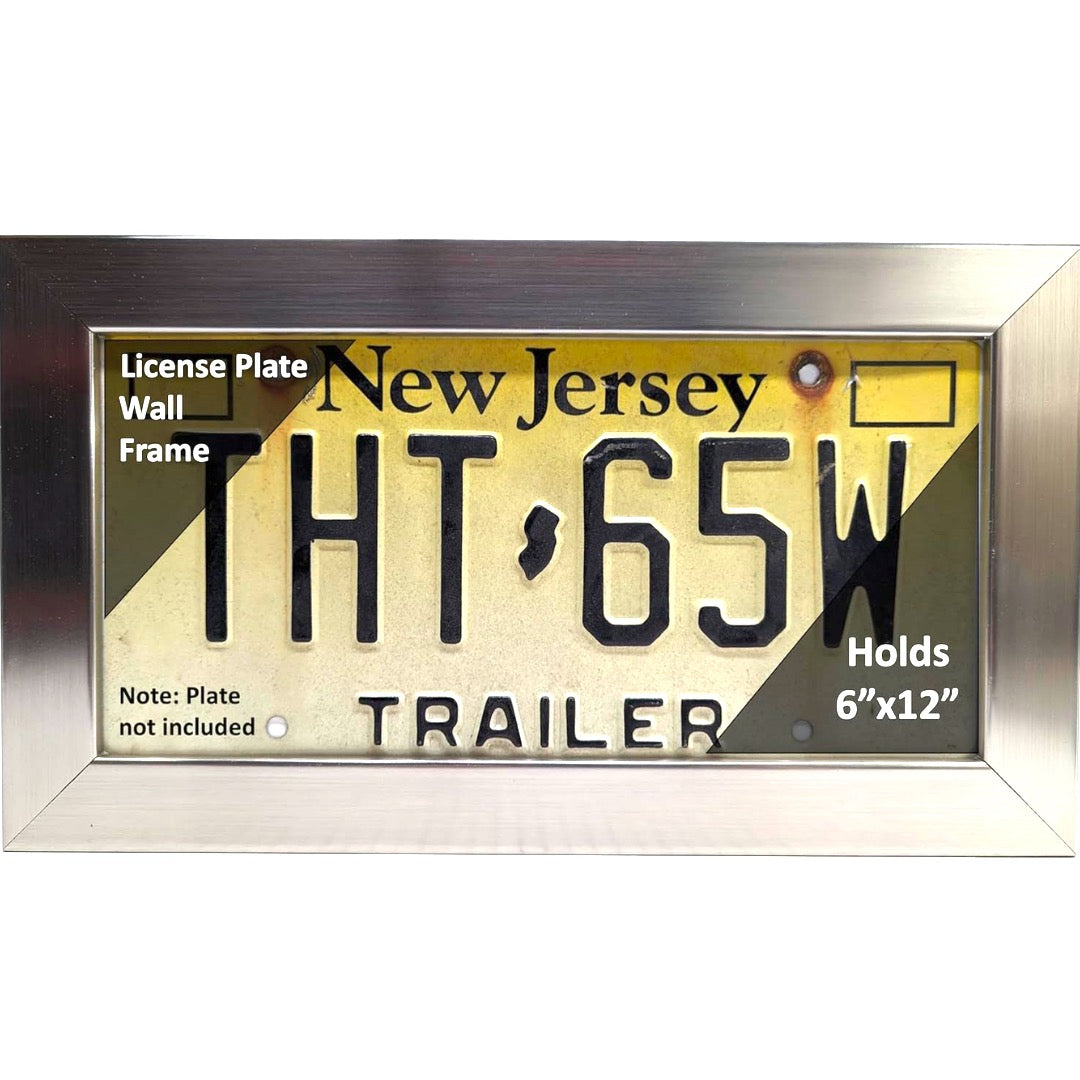 Stainless Steel License Plate Wall Frame 6x12