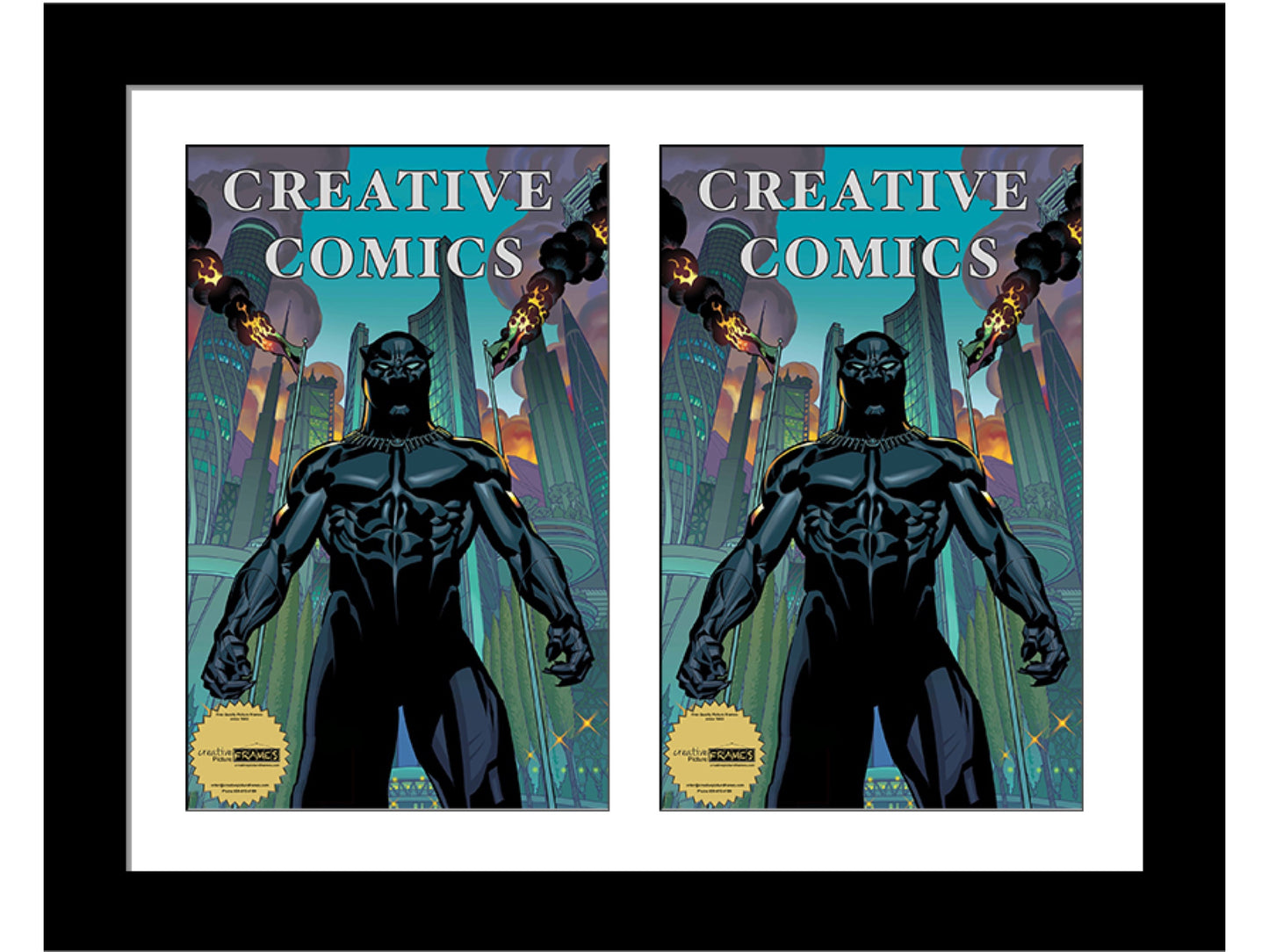 Double Comic Book Frame with Mat