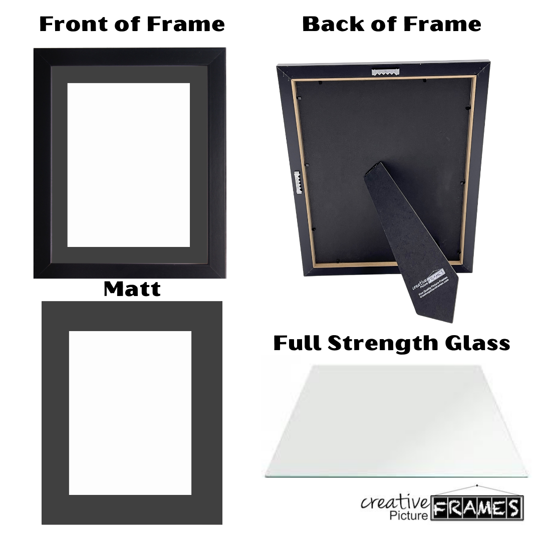 Life Magazine Frame
