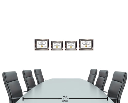 Carnegie Stainless Steel Diploma Frame (No Mat)