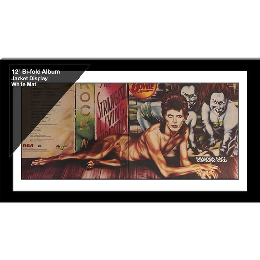 12" Bifold Double Record Cover Frame