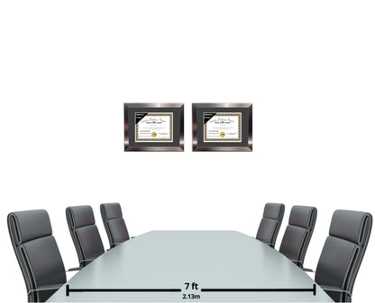 Carnegie Stainless Steel Diploma Frame with Mat