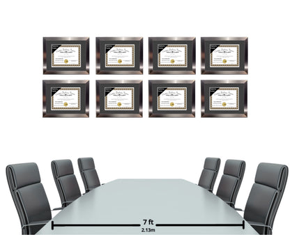 Carnegie Stainless Steel Diploma Frame with Mat