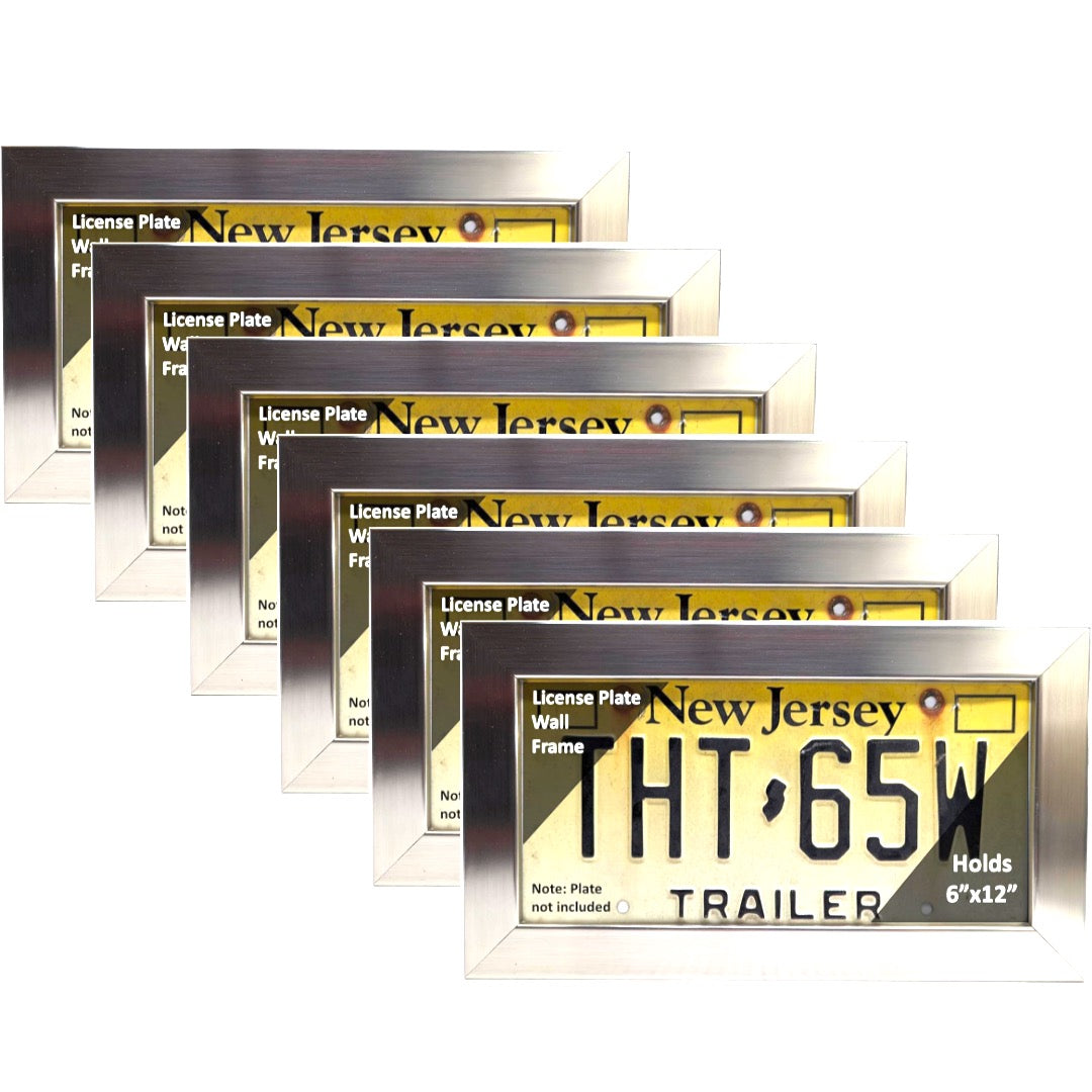 Stainless Steel License Plate Wall Frame 6x12